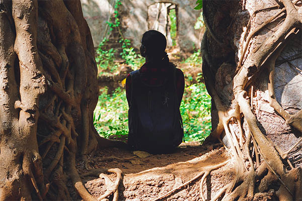 How to Put Down Roots: A Guide Building a Fulfilling Life